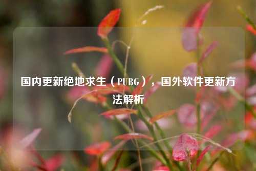 国内更新绝地求生(PUBG),国外软件更新方法解析