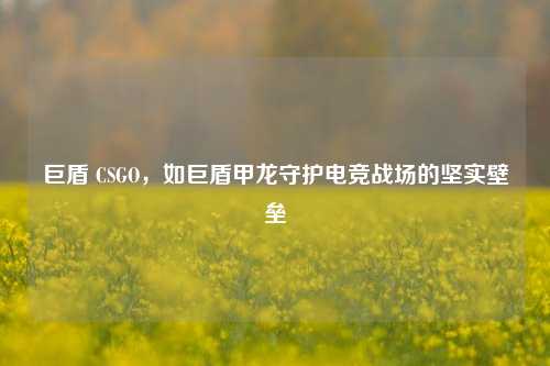 巨盾 CSGO,如巨盾甲龙守护电竞战场的坚实壁垒
