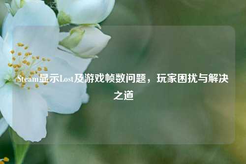 Steam显示Lost及游戏帧数问题,玩家困扰与解决之道