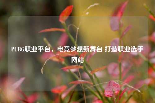 PUBG职业平台，电竞梦想新舞台 打造职业选手网站