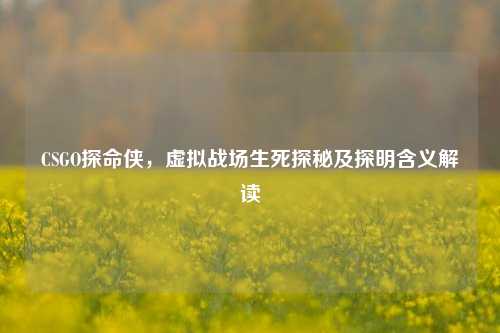 CSGO探命侠,虚拟战场生死探秘及探明含义解读