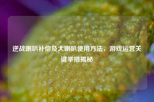 逆战喇叭补偿及大喇叭使用方法,游戏运营关键举措揭秘