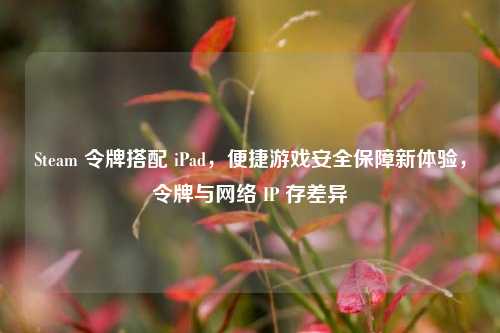Steam 令牌搭配 iPad,便捷游戏安全保障新体验,令牌与网络 IP 存差异