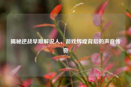揭秘逆战早期解说人,游戏辉煌背后的声音传奇