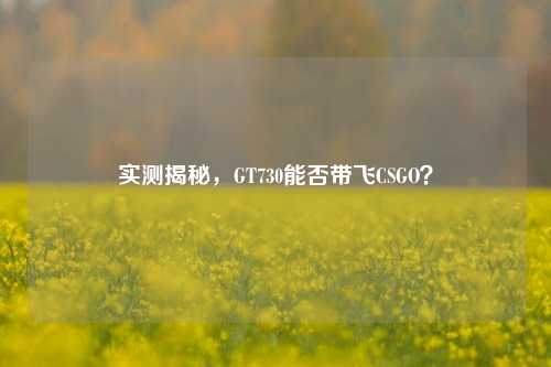 实测揭秘,GT730能否带飞CSGO?