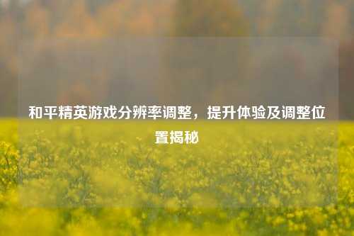 和平精英游戏分辨率调整,提升体验及调整位置揭秘