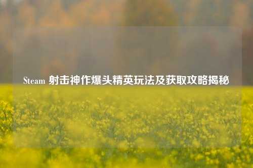 Steam 射击神作爆头精英玩法及获取攻略揭秘