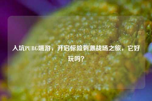 入坑PUBG端游,开启惊险刺激战场之旅,它好玩吗?
