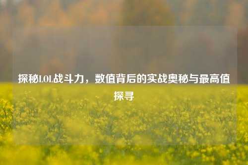 探秘LOL战斗力,数值背后的实战奥秘与最高值探寻
