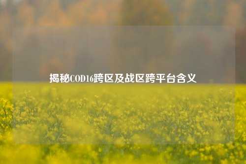 揭秘COD16跨区及战区跨平台含义