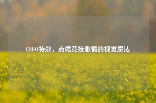 CSGO特效,点燃竞技激情的视觉魔法