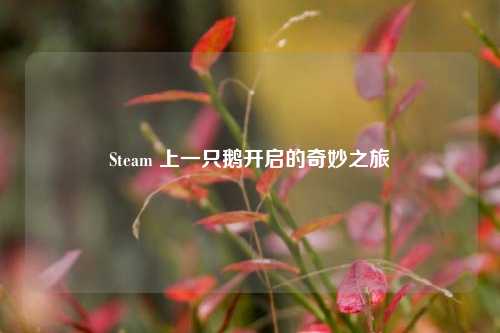Steam 上一只鹅开启的奇妙之旅