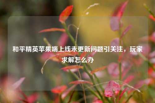 和平精英苹果端上线未更新问题引关注，玩家求解怎么办