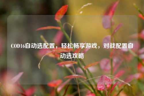 COD16自动选配置,轻松畅享游戏,对战配置自动选攻略