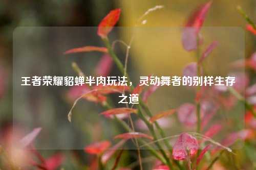 王者荣耀貂蝉半肉玩法,灵动舞者的别样生存之道