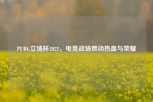 PUBG立场杯2022,电竞战场燃动热血与荣耀