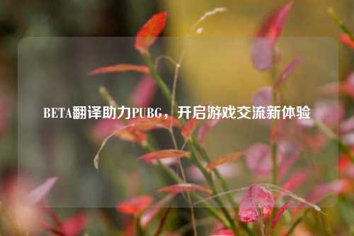 BETA翻译助力PUBG，开启游戏交流新体验