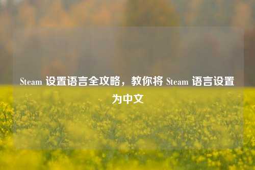 Steam 设置语言全攻略,教你将 Steam 语言设置为中文