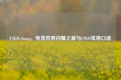 CSGO.chang,电竞世界闪耀之星与CSGO常用口语