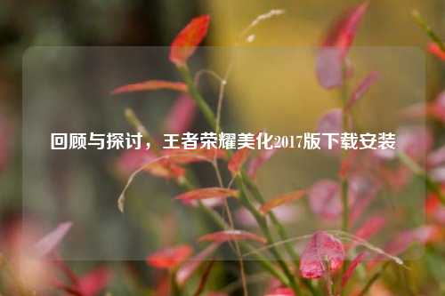 回顾与探讨,王者荣耀美化2017版下载安装