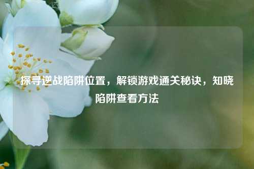探寻逆战陷阱位置,解锁游戏通关秘诀,知晓陷阱查看方法