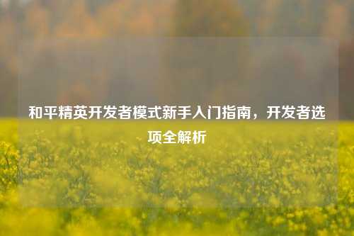 和平精英开发者模式新手入门指南,开发者选项全解析