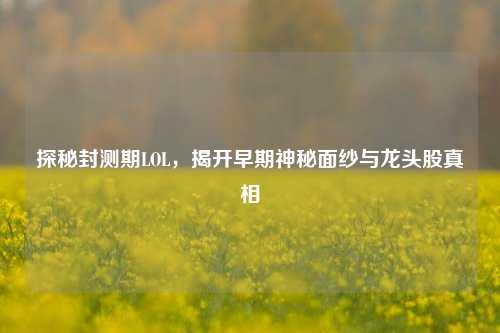 探秘封测期LOL,揭开早期神秘面纱与龙头股真相
