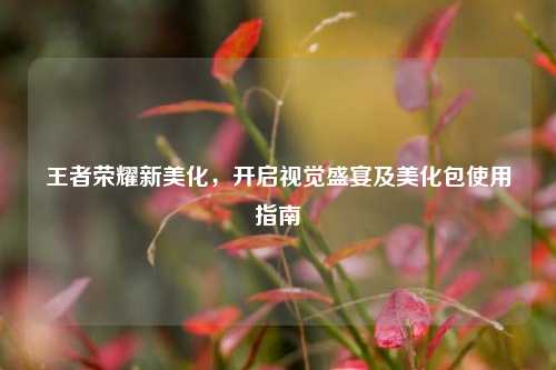 王者荣耀新美化,开启视觉盛宴及美化包使用指南