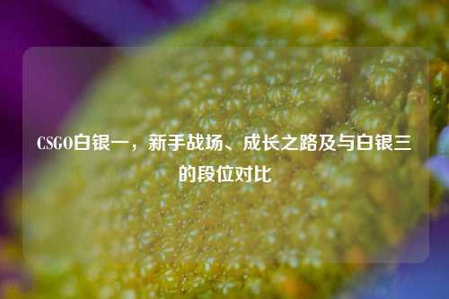 CSGO白银一,新手战场、成长之路及与白银三的段位对比