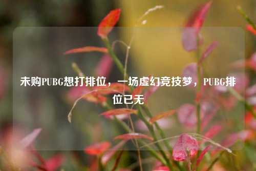 未购PUBG想打排位,一场虚幻竞技梦,PUBG排位已无