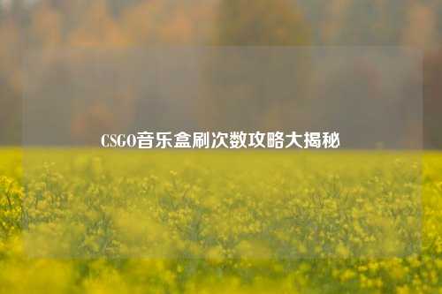 CSGO音乐盒刷次数攻略大揭秘