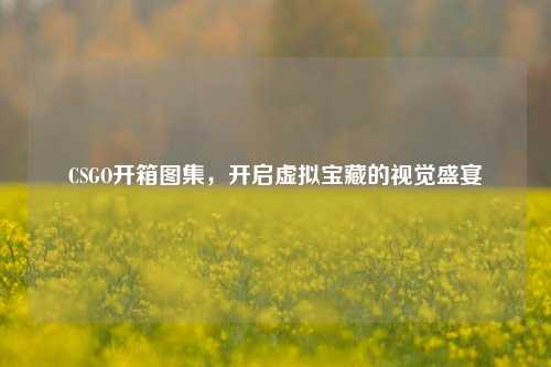 CSGO开箱图集,开启虚拟宝藏的视觉盛宴