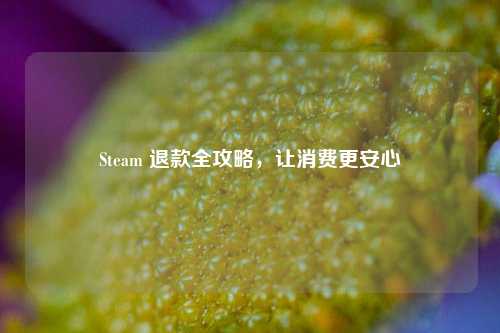 Steam 退款全攻略,让消费更安心