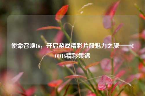使命召唤16，开启游戏精彩片段魅力之旅——COD16精彩集锦