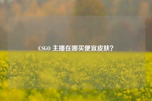 CSGO 主播在哪买便宜皮肤?