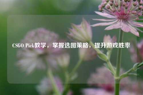 CSGO Pick教学,掌握选图策略,提升游戏胜率