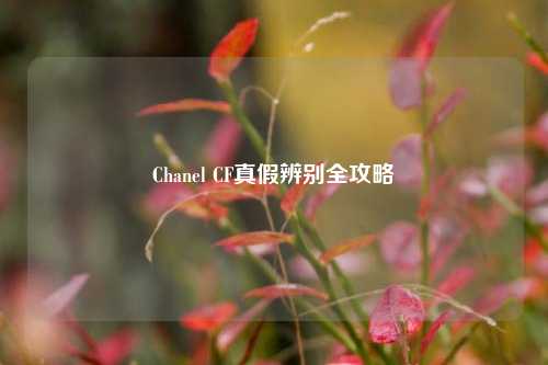 Chanel CF真假辨别全攻略