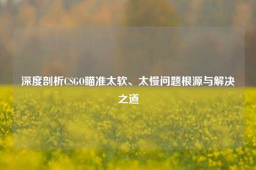 深度剖析CSGO瞄准太软、太慢问题根源与解决之道