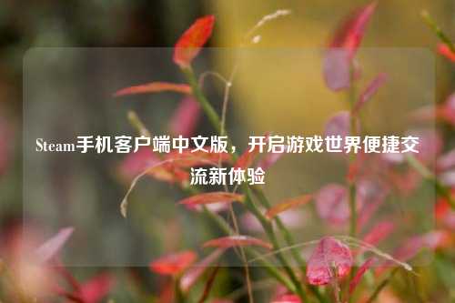 Steam手机客户端中文版,开启游戏世界便捷交流新体验