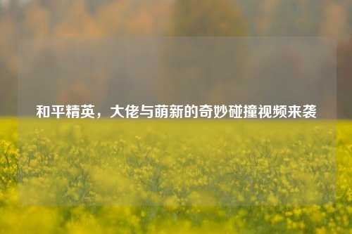 和平精英,大佬与萌新的奇妙碰撞视频来袭